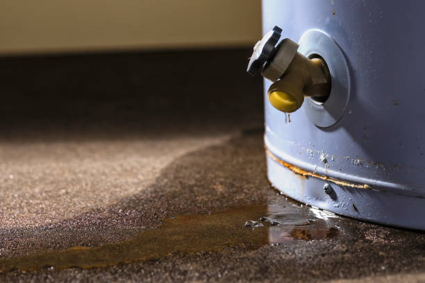 Best Water damage repair service  in Vineyards, FL
