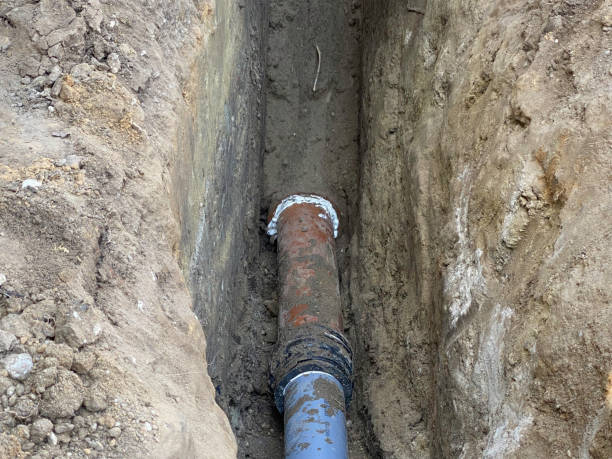 Best Local water damage restoration  in Vineyards, FL