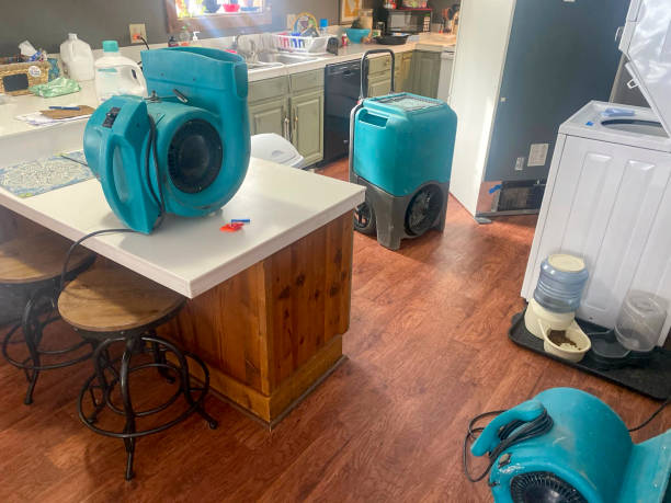 Best Emergency water damage restoration  in Vineyards, FL