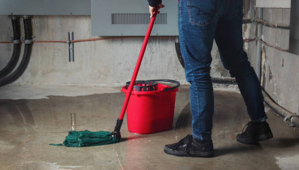 Best Water damage restoration near me  in Vineyards, FL