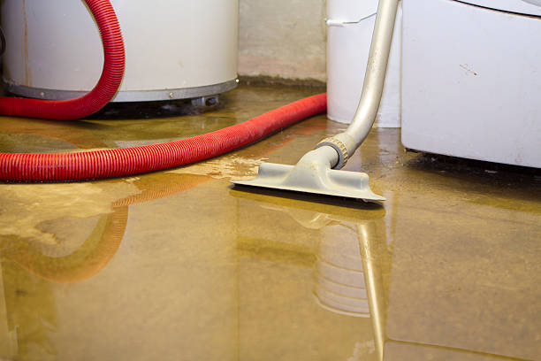 Best Mold removal after water damage  in Vineyards, FL