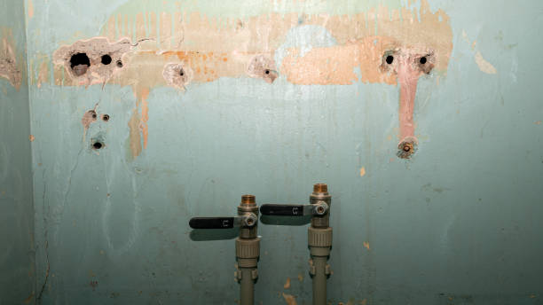 Best Carpet water damage restoration  in Vineyards, FL