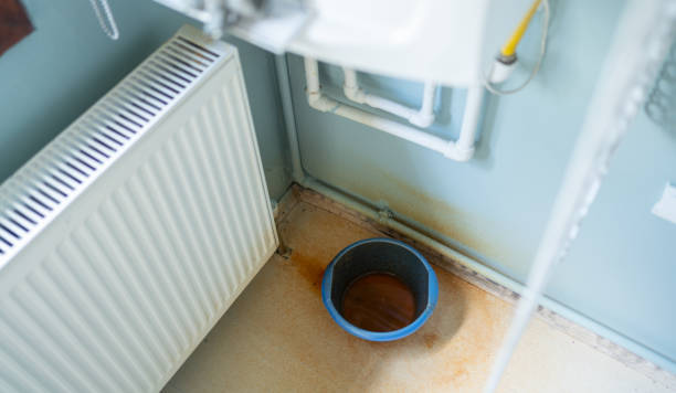 Water damage restoration mold remediation in Vineyards, FL