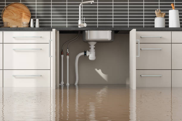 Best Flood restoration services  in Vineyards, FL